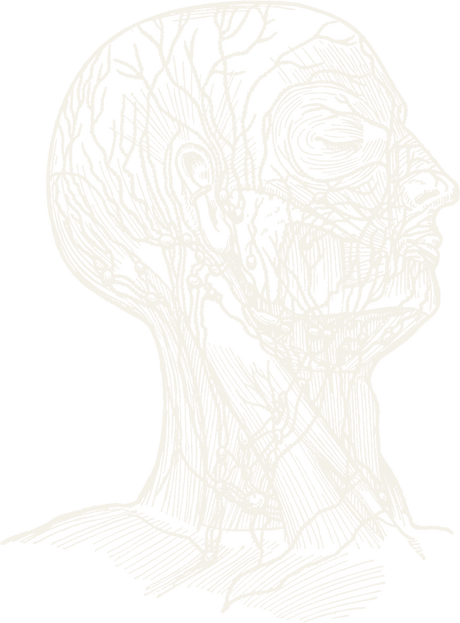 Illustration of lymphatic vessels of the head and neck