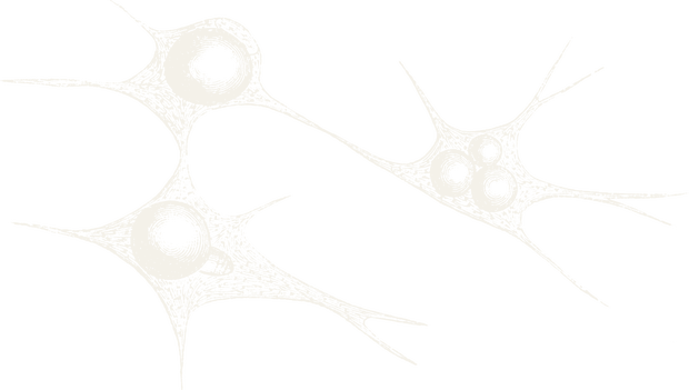 Illustration of nerve cells